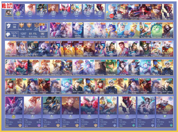 Acc VIP20919
